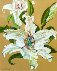 Die weißen Lilien